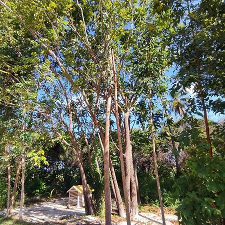 Villa Casa Nova 2 São José da Coroa Grande Exterior foto